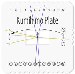 Top-down view of instructed step