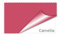 Camellia