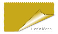 Lion's Mane
