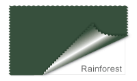 Rainforest