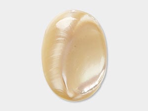Natural Mother-of-Pearl Shell Cabochons