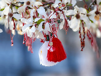White blossomed tree branch has red and white threads hanging from it along with larger red and white tassels.
