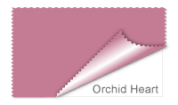 Orchid Heart