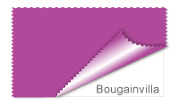 Bougainvilla