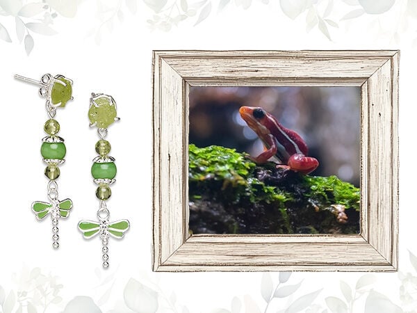On the right, a gray wood frame surrounds an image of a red frog perched on a damp, mossy log. On the left is a pair of silvery earrings featuring pale green beads and silvery dragonfly charms with green wings.