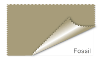Fossil