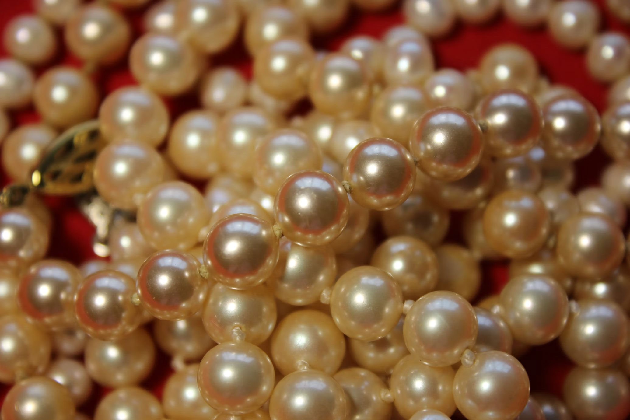 Multiple strands of pearls in a pile with a red background