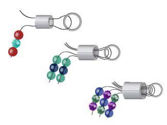 Crimp Sizes
