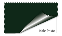 Kale Pesto #112819