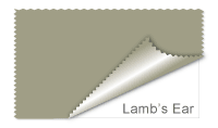 Lambs Ear