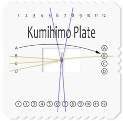 Top-down view of instructed step