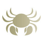 Crab