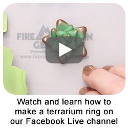 Watch and learn how to make a terrarium ring on our Facebook Live channel