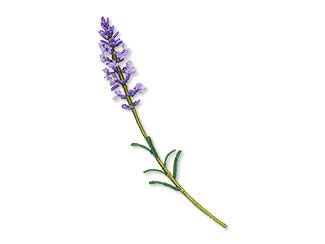 Beaded Lavender Frond
