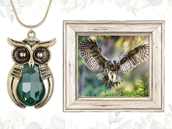 On the right, a gray wood frame surrounds an image of an owl in flight. On the left is a silvery owl pendant featuring a large faceted teal cabochon.