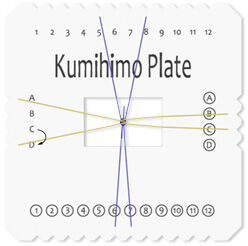 Top-down view of instructed step
