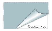 Coastal Fog #a9c2c7