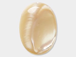 Natural Mother-of-Pearl Shell Cabochons