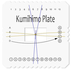 Top-down view of instructed step