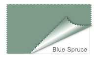 Blue Spruce