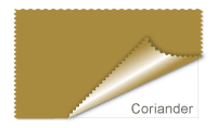Coriander