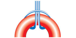 A strand of cord around a donut to create a lark's head knot.