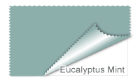 Eucalyptus Mint