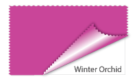 Winter Orchid #c94699