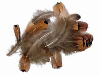 A pile of brown and grey pheasant feathers