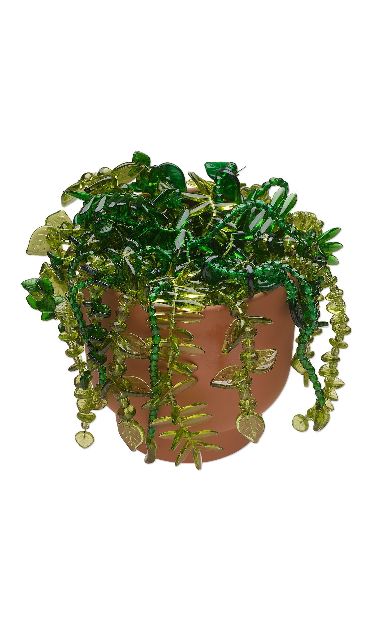 Design Idea R G 2 K - Plant with many varied green beaded fronds in a terra cotta-hued pot.