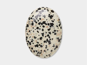Dalmatian Jasper Cabochons