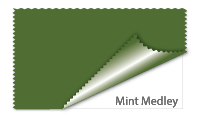 Mint Medley #506e34