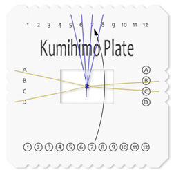 Top-down view of instructed step