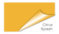 Citrus Splash