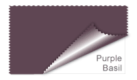 Purple Basil