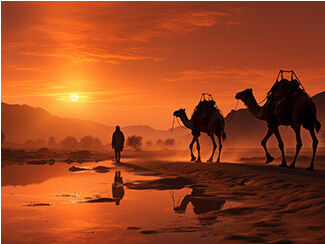The Silver Treasure of Rajasthan