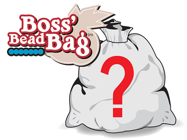 Boss' Bead Bag