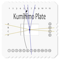 Top-down view of instructed step