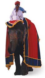 Two people riding an elephant