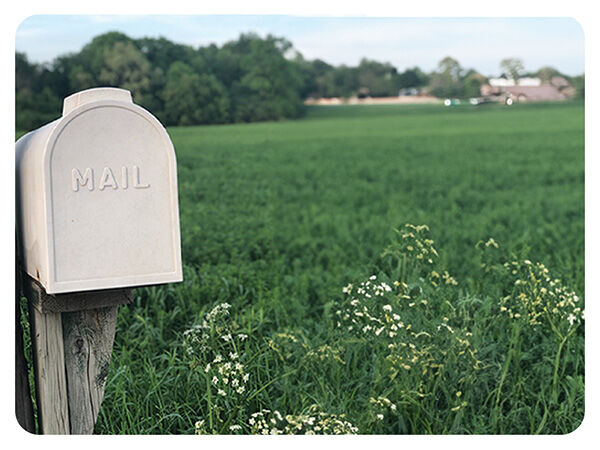 Mailbox in a field