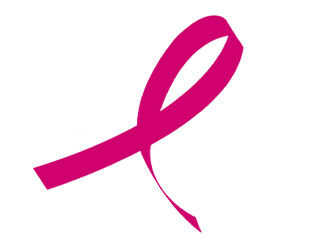 The Breast Cancer Research Foundation
