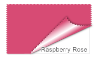 Raspberry Rose #d74b74