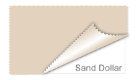 Sand Dollar