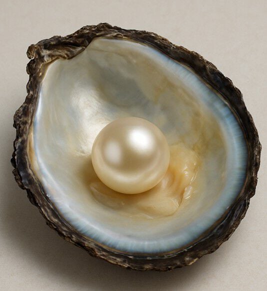 Pearl inside an oyster shell