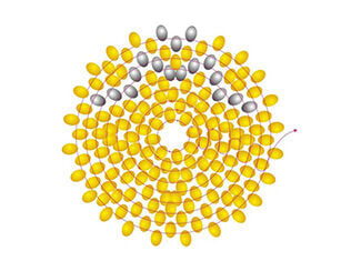 Illustration showing threading pattern for yellow and black seed beads