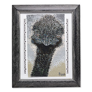 Ralph the Emu