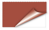 Maple Leaf Color Swatch