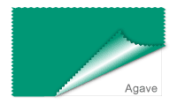 Agave