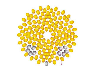 Image showing threading pattern for yellow and black seed beads