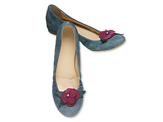Shoe Clips